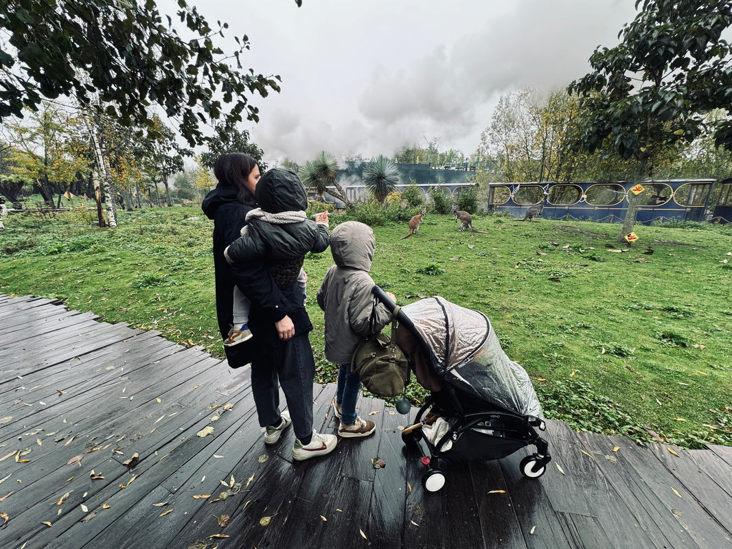 Séjour à Pairi Daiza: les essentiels pour les kids 🦘