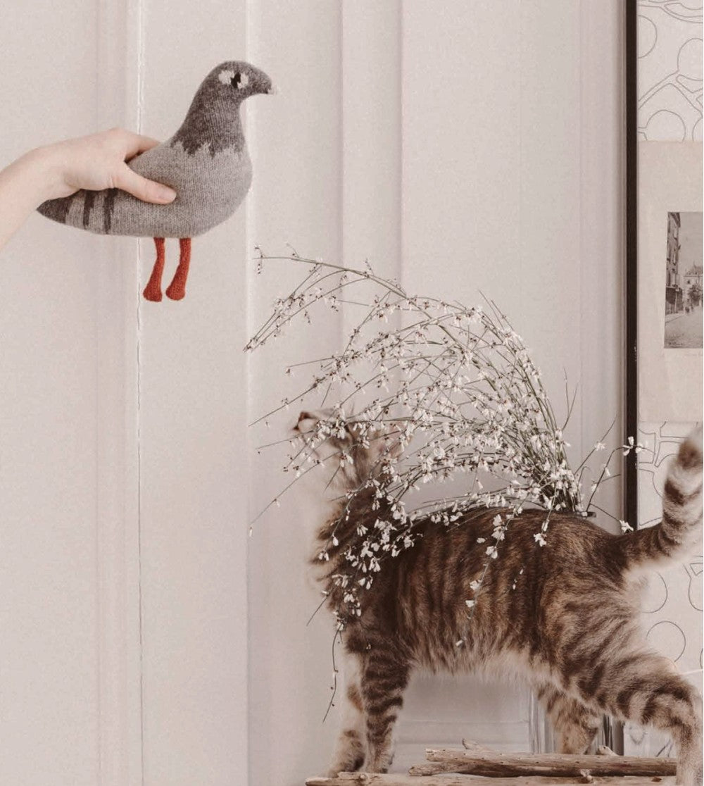 Doudou pigeon