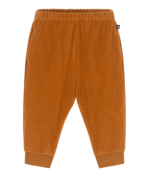 Pantalon en velours côtelé marron