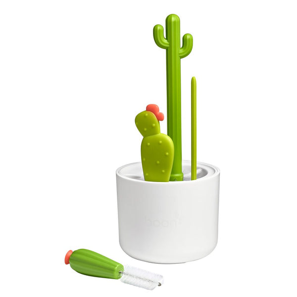 Set goupillons Cactus