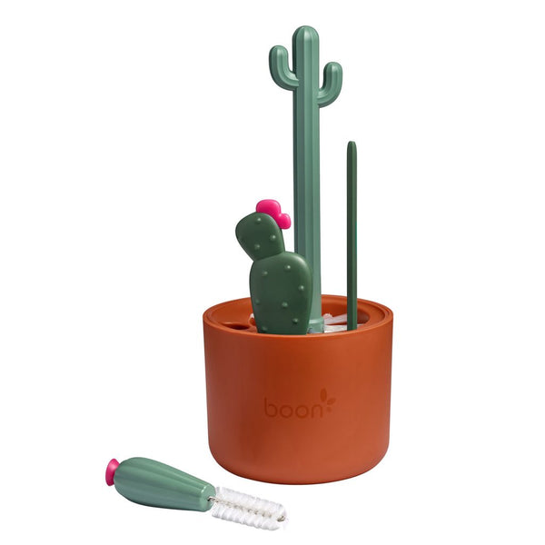 Set goupillons Cactus brun